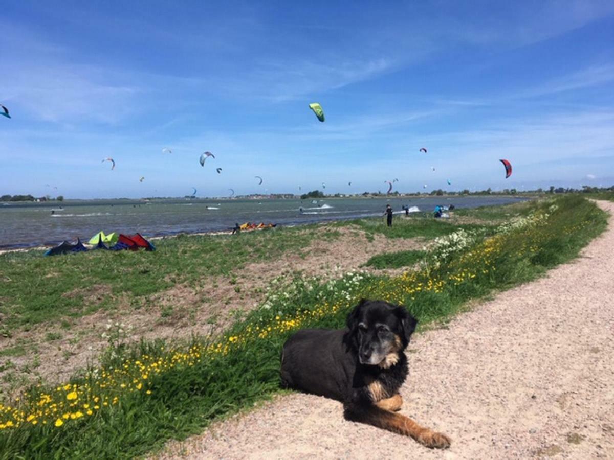 Zur Muehle Lemkenhafen Auf Fehmarn Apartman Kültér fotó