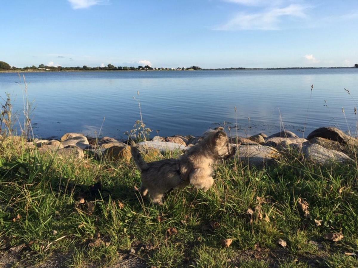 Zur Muehle Lemkenhafen Auf Fehmarn Apartman Kültér fotó